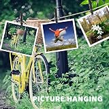 Fuyamp 100 Pcs Mini Wooden Pegs 2.5cm Black Craft Pegs String Photos view 4