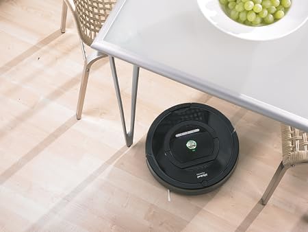 Roomba Raya Parquet Top Sellers, 60% OFF | www.ingeniovirtual.com