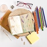 BIC Intensity Coloured Pencils 24 Pack Vibrant Colours Wood-Free Pencils view 4