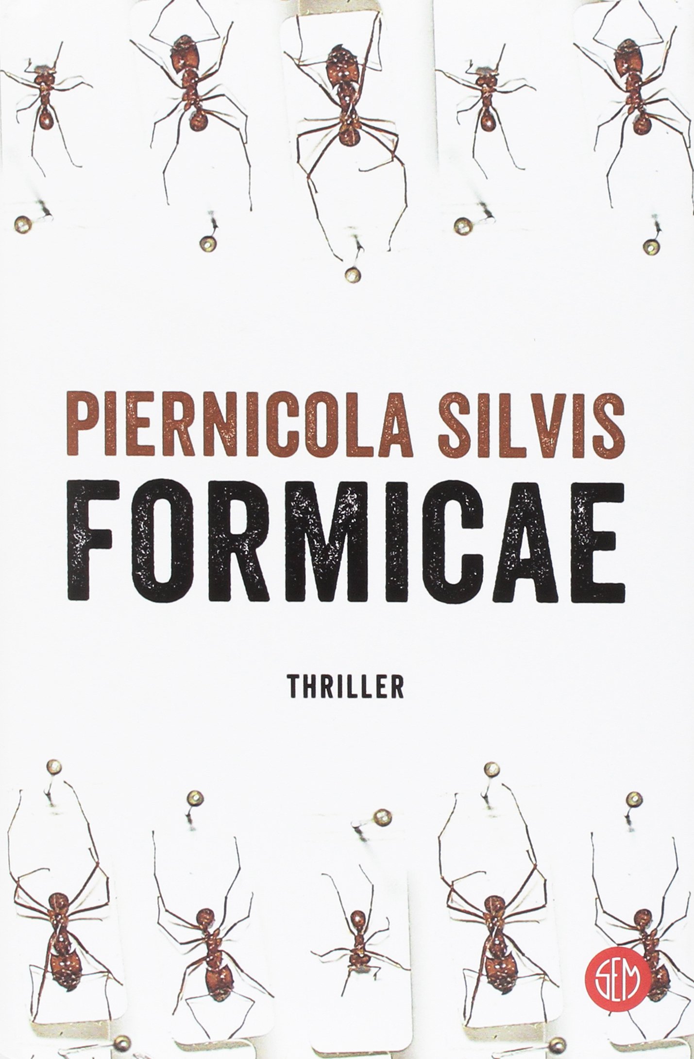 Formicae Piernicola Silvis gialloecucina