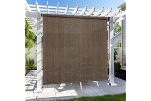 KANAGAWA Outdoor Roller Shade 10'X8' Mocha Exterior Cordless Patio Roll Up Shades for Outside Pergola Porch, Outdoor Blinds for Patio