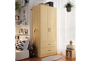 FENGHUA LIZHI Wood Wardrobe Closet with 2 Doors and Drawers，Bedroom Freestanding Armoire Storage Cabinet with Shelves，Wooden Wardrobe Combination for Hanging Clothes Feng Hua Li Zhi (31.5”W X 18.9”D X 68.9”H)