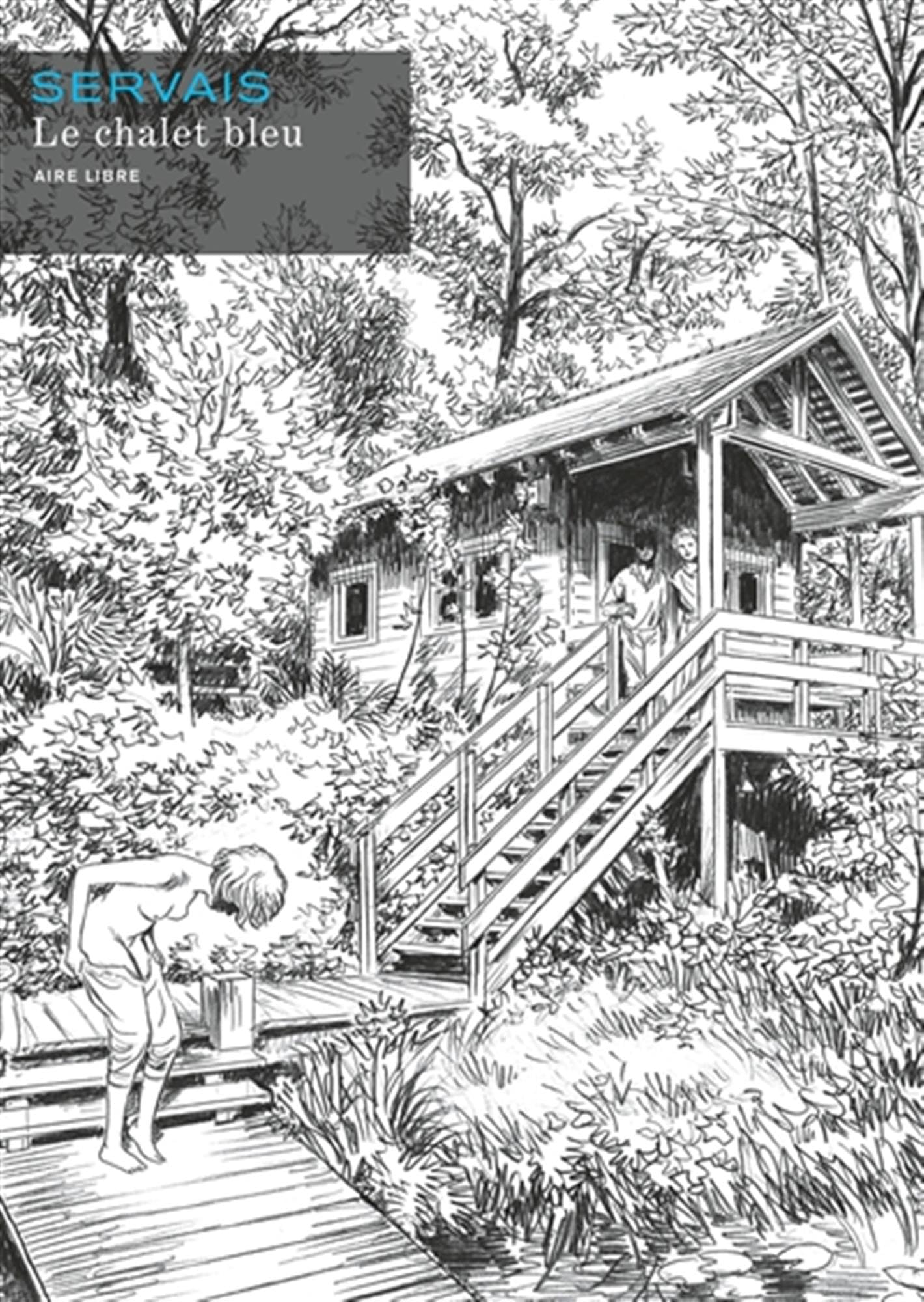voir fiche du livre Le chalet bleu - Le chalet bleu