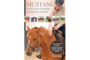 Mustang: From Wild Horse to Riding Horse