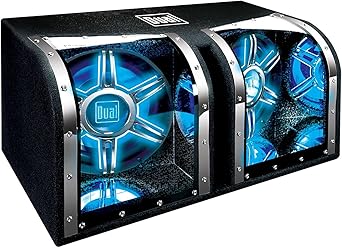 dual audio 12 subwoofer