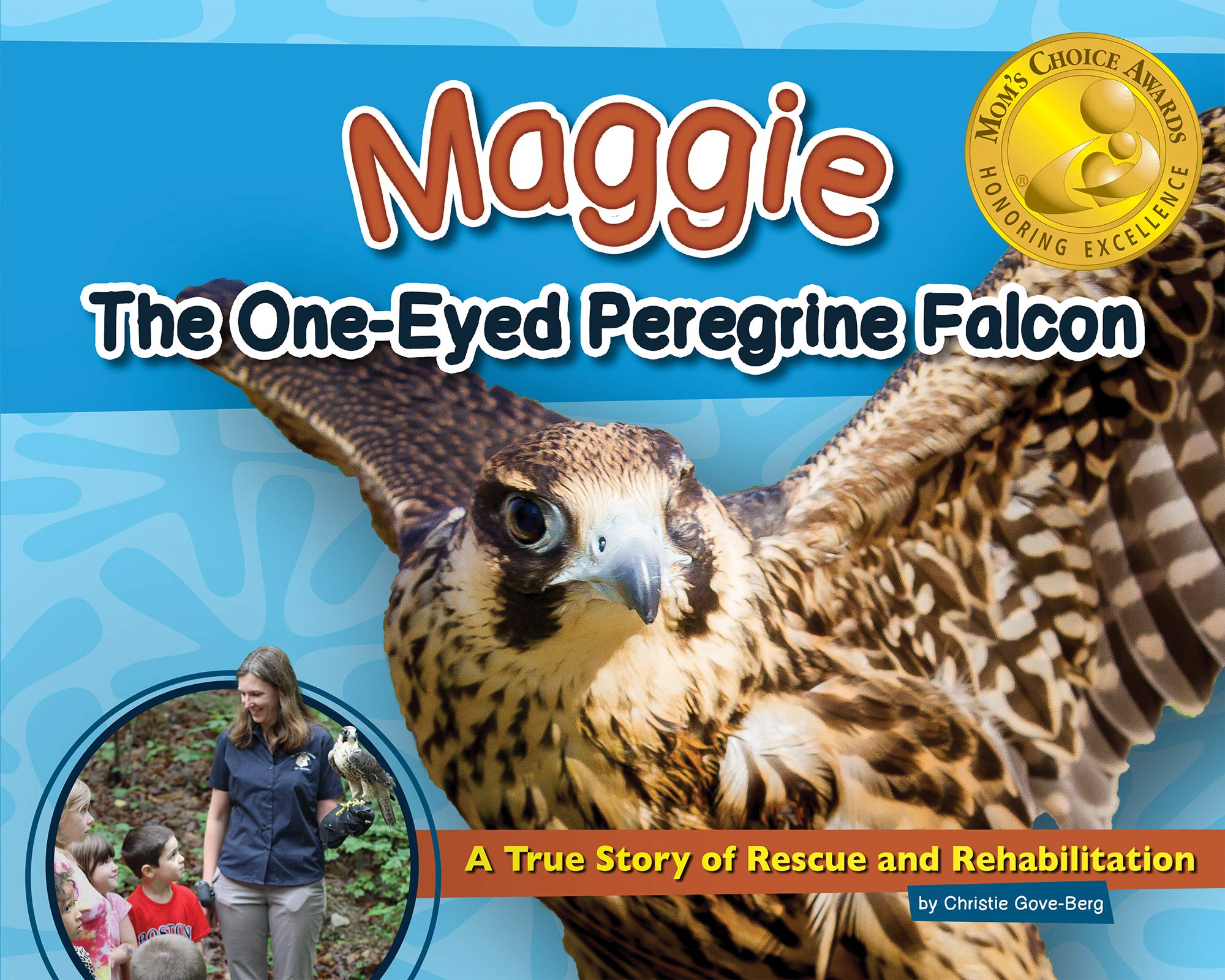 Amazoncom Maggie The One Eyed Peregrine Falcon A True