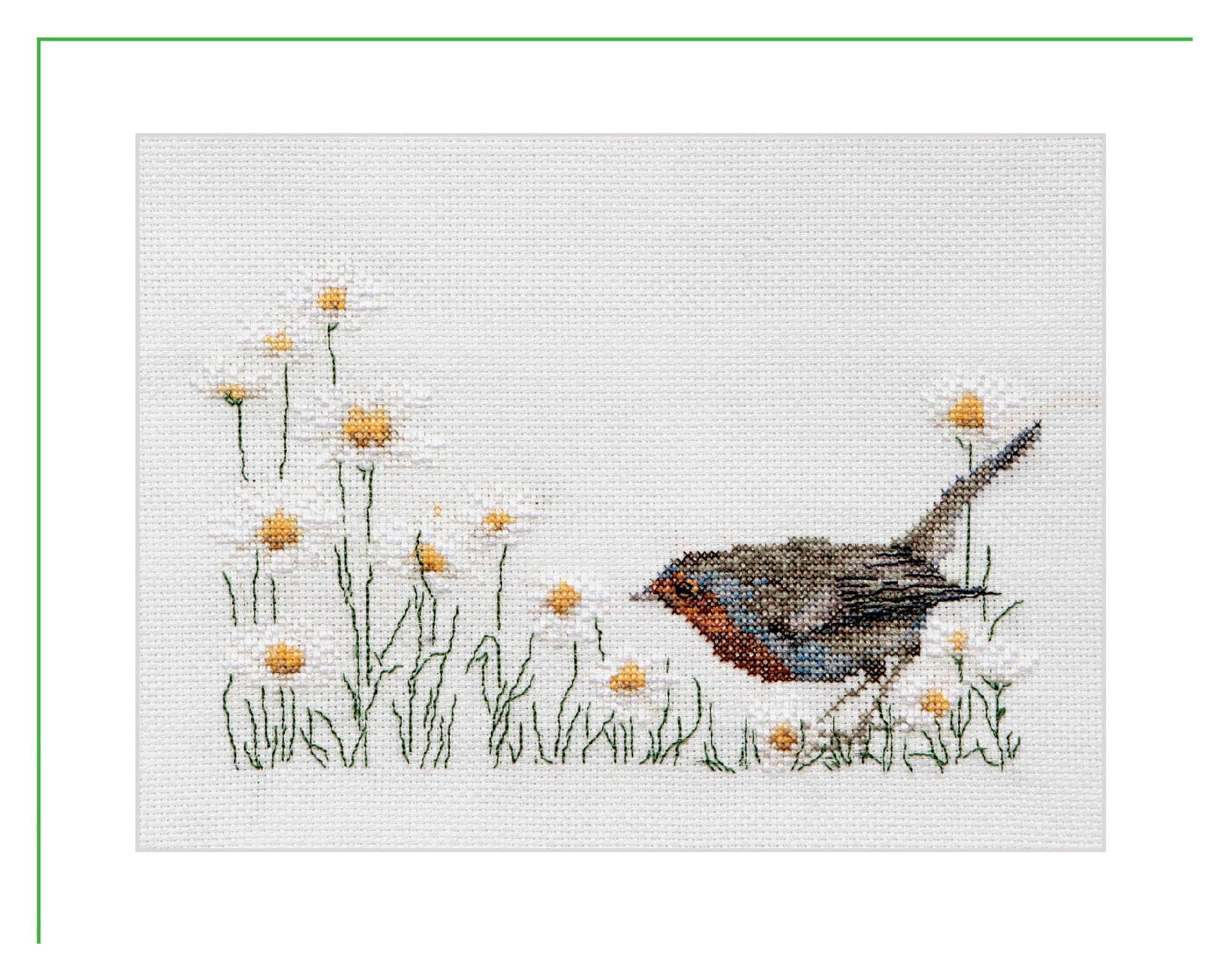 Thea Gouverneur - Counted Cross Stitch Kit - Summer Robin Bird - Linen - 32 Count - Embroidery Kit for Adults - DMC Embroidery Threads and Other Cross Stitch Supplies Included - 792