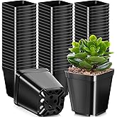Nuanchu 1000 Pack 2 Inch Plastic Seedling Pots Black Square Nursery Pots Small Planter Plant Starter Pots Seed Starting Pots Planter Nursery Pots Garden Pots for Flower, Starting Seedlings, Succulents