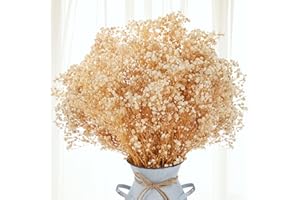 Pumtus 2 Packs Dried Babys Breath Bouquet, 2500+Ivory White Dried Flowers Bundles, Natural Gypsophila Branches for Home Decor, Table Decor, Gift, Dry Flowers Bulk for Vase, Wedding, Party, DIY