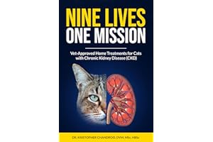 NINE LIVES, ONE MISSION: Vet-Approved Home Treatments for Cats with Chronic Kidney Disease (CKD)