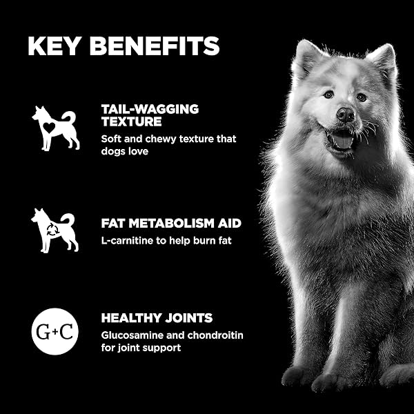 GO! SOLUTIONS WEIGHT MANAGEMENT + JOINT CARE DOG TREATS – CHICKEN RECIPE – SOFT AND CHEWY DOG TREATS, 6 OZ BAG