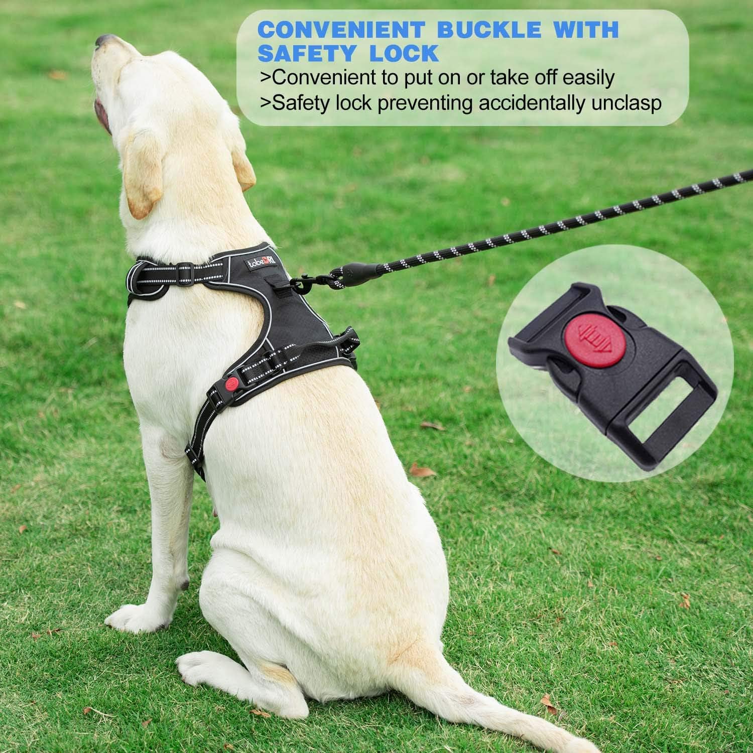 tobeDRI No Pull Dog Harness Adjustable Reflective Oxford Easy Control Medium Large Dog Harness with A Free Heavy Duty 5ft Dog Leash (S (Neck: 13"-18", Chest: 17.5"-22"), Blue Harness+Leash) : Kitchen & Dining