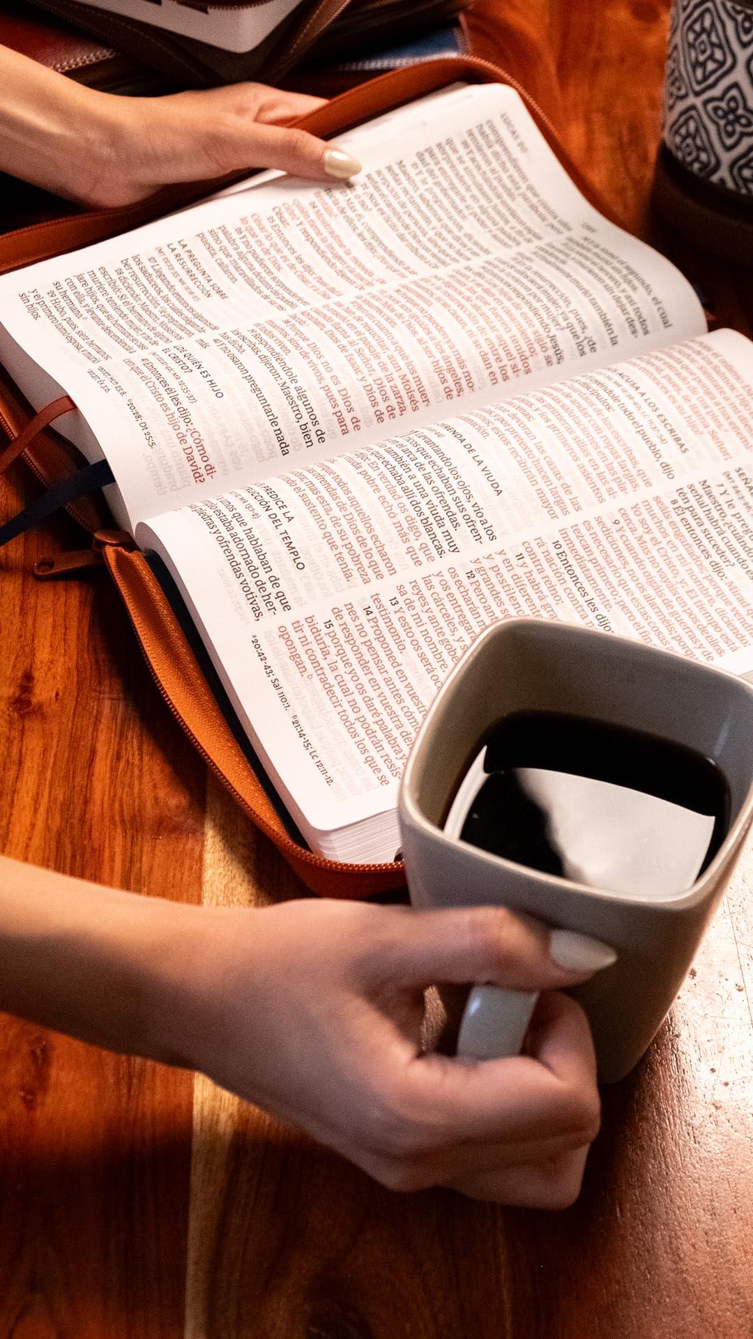 RVR60, Santa Biblia, Letra Supergigante, Leathersoft, Café, con Cierre, Comfort Print (Spanish Edition)