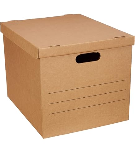 Amazon.com: Leitz Premium archive box with flap, 10 pieces, 100