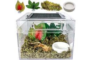 Acsist Reptile Terrarium, Jumping Spider Enclosure Starter Kit, Leopard Gecko Habitat Container, 8"x8"x6"Reptile Tank for Tarantula, Hermit Crab, Insect, Fish, Frog, Small Bearded Dragon, Lizard
