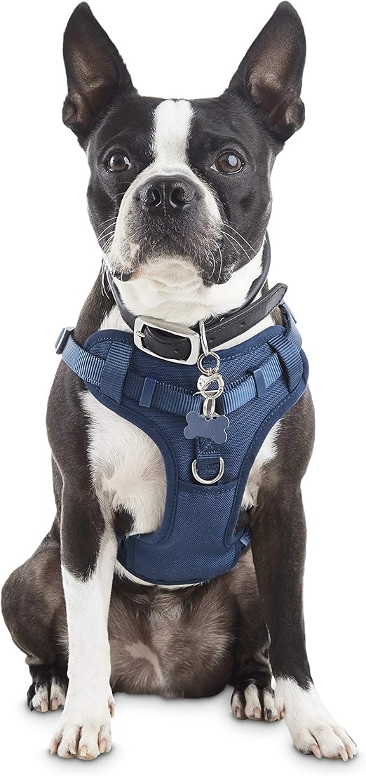 navy blue dog harness