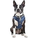 good2go front walking harness