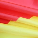 AZ FLAG Macedonia Flag 2x3 ft 100D Polyester with Two Brass Grommets view 3
