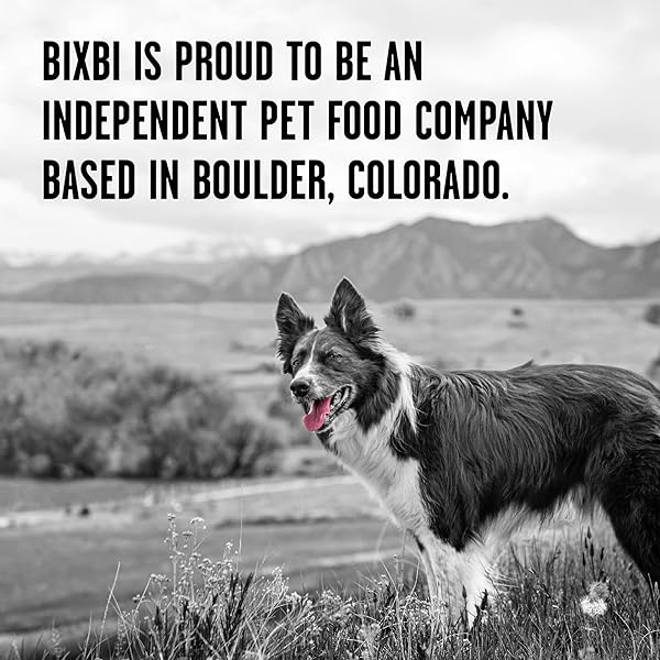 BIXBI LIBERTY FREEZE-DRIED DOG FOOD TOPPER & TREATS, BEEF – 98% MEAT & ORGANS, NO REFRIGERATION – USA MADE, 12 OZ