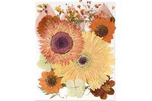 HOPELJ 19Pcs Large Dried Flowers for Art Crafts, Real Natural Dried Pressed Flowers Dry Leaves Bulk Kit for DIY Art Crafts Resin Jewelry Making Scrapbook Supplies Card Nails Decors