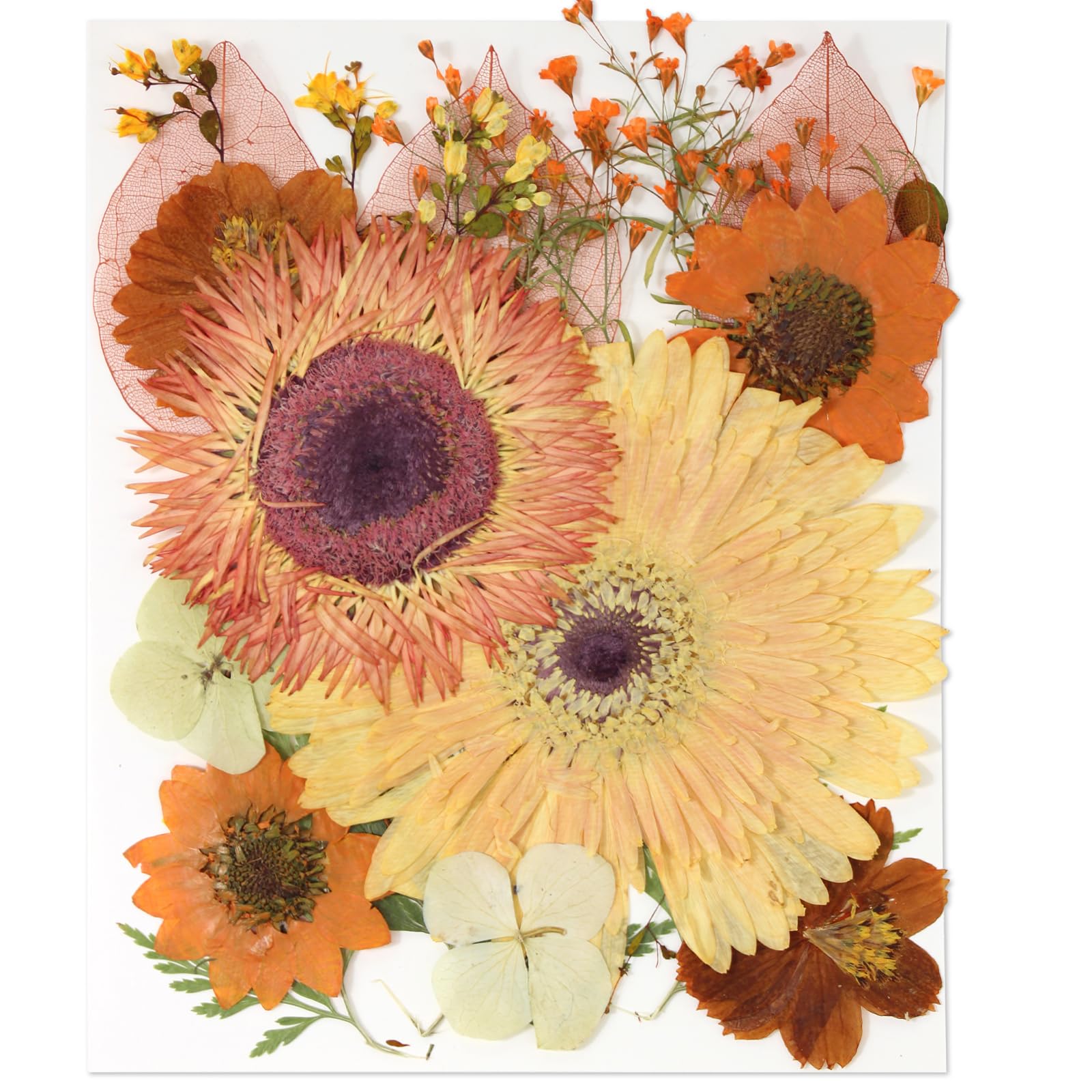 Photo 1 of 19Pcs Large Dried Flowers for Art Crafts, Real Natural Dried Pressed Flowers Dry Leaves Bulk Kit for DIY Art Crafts Resin Jewelry Making Scrapbook Supplies Card Nails Decors