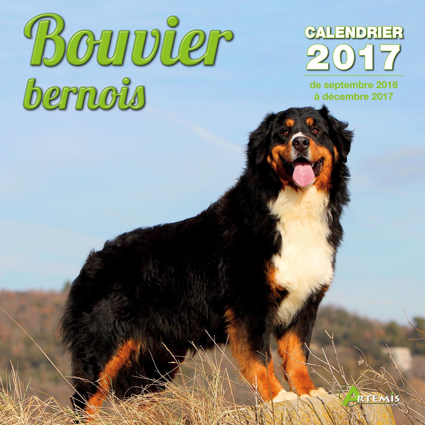 Collections Calendriers Almanachs Bouvier Bernois Calendrier 2017 Baroquelifestyle Com