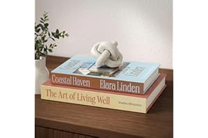 MESMOS Decorative Books - Set of 2 Hidden Storage Boxes for Home Decor, Living Room and Bookshelf Decoration, Coffee Table Bo