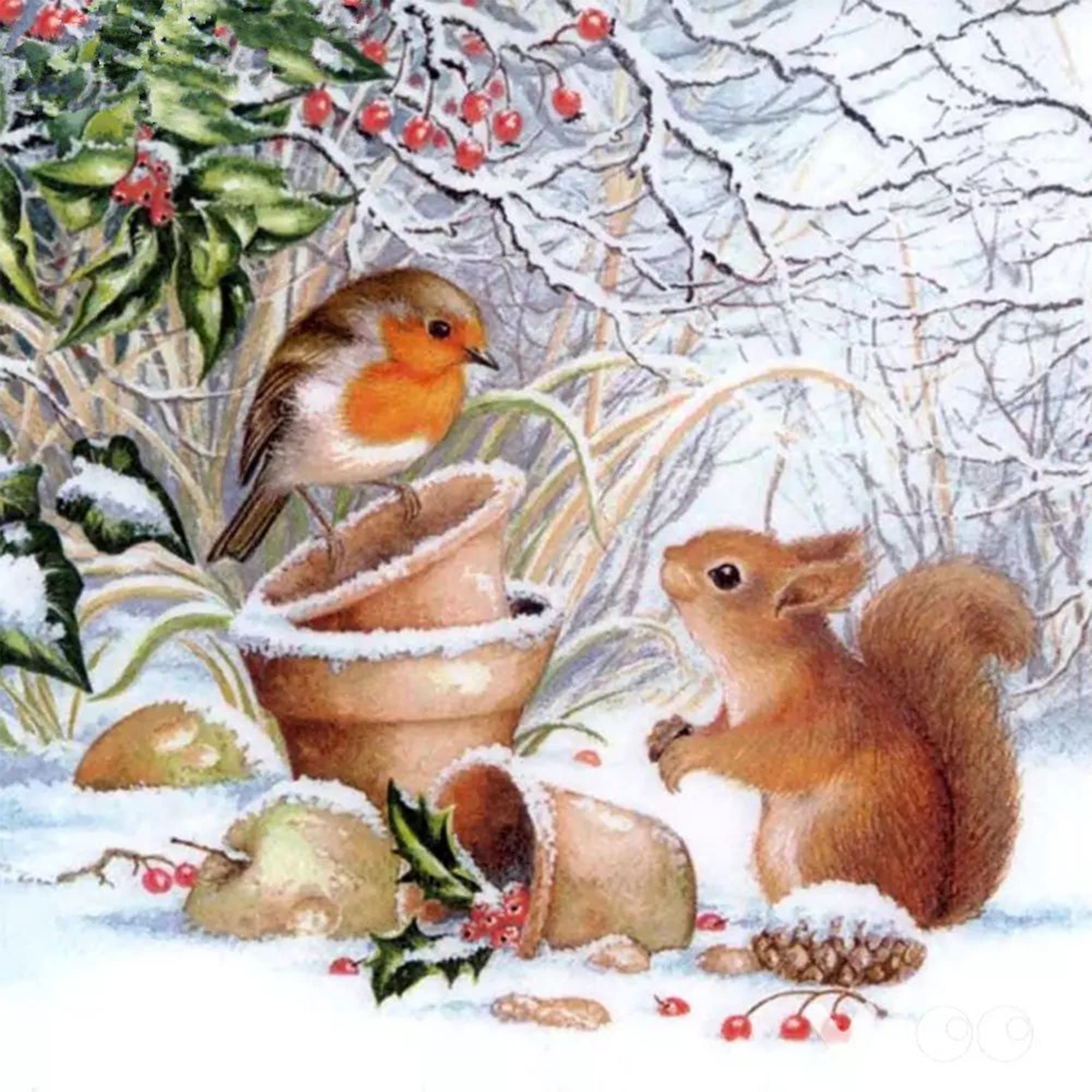Huacan 5D DIY Diamond Painting Kits for Adults Animals Bird and Squirrel Full Square Drill Snow Scene Christmas Picture Crystal Rhinestone Embroidery Mosaic Art Home Wall Decor Gift 30x30cm