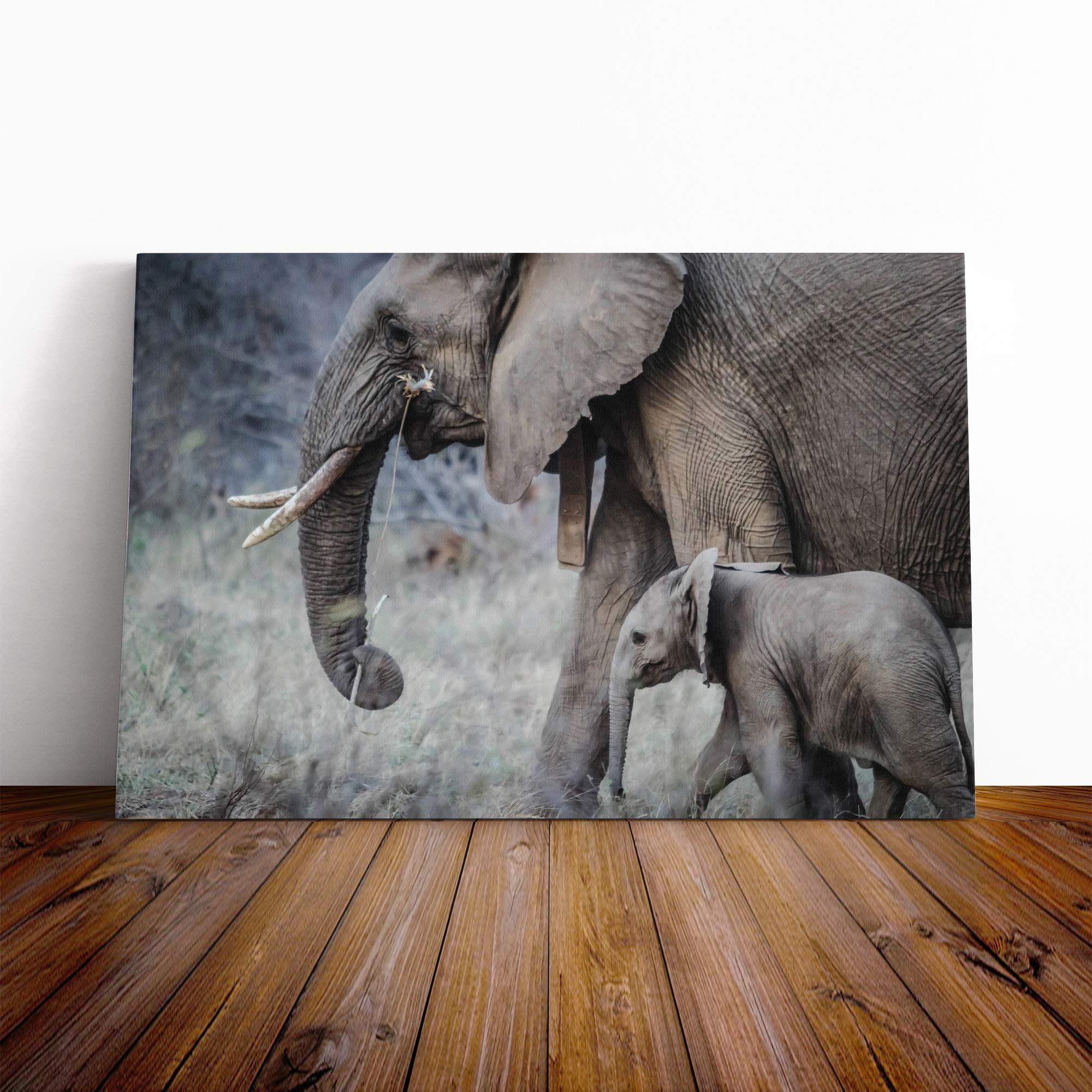 Mother and Baby Elephant Canvas Print | Gallery Wrapped 30mm Frame Wall Art | 20x14 inches | Ready to Hang | Modern Animals Picture | Living Room Bedroom Lounge Office