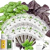 Hydroponics Seed Pod with Genovese Basil & Purple