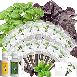 Hydroponics Seed Pod with Genovese Basil & Purple