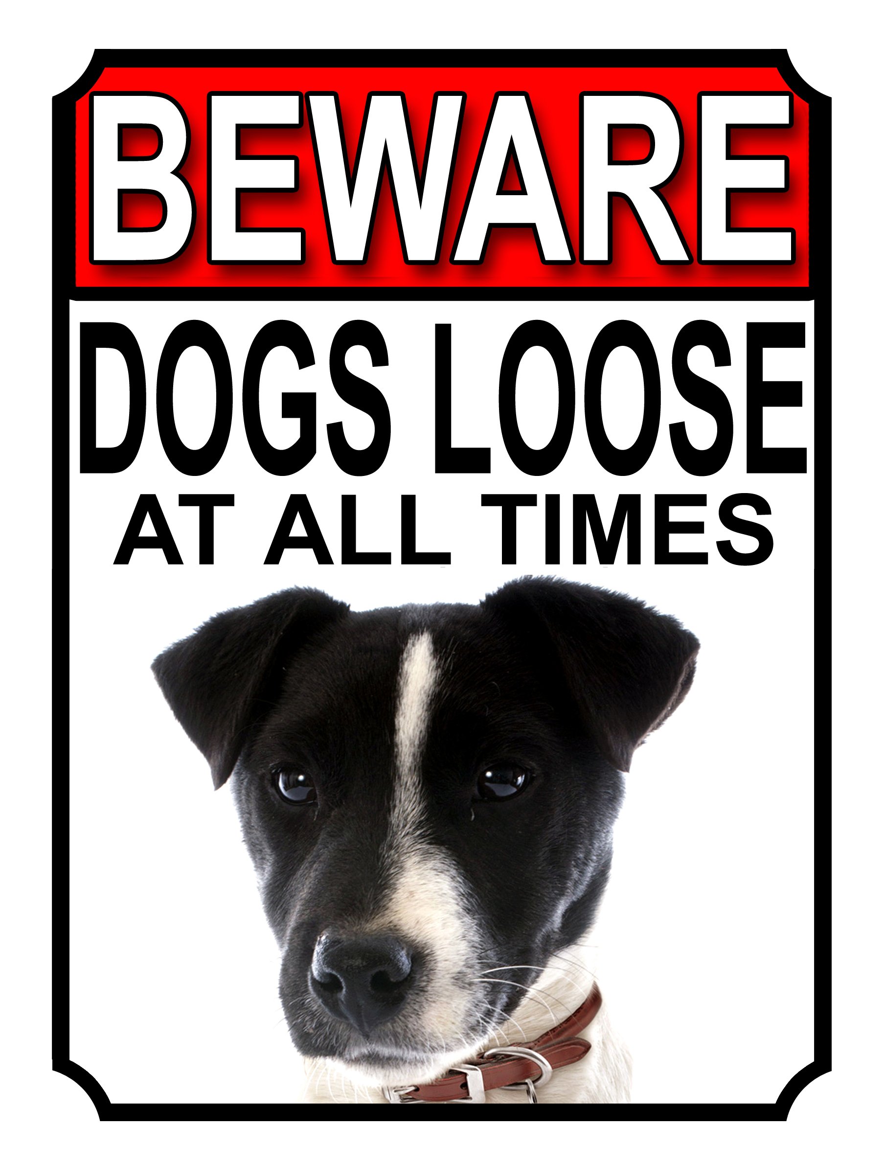 Shawprint Limited BEWARE DOGS LOOSE AT ALL TIMES METAL SIGN JACK RUSSEL 200MM X 150MM (1007H1)
