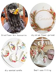DIY Dried Flower Set, Bulk Dried Flowers,Autumn