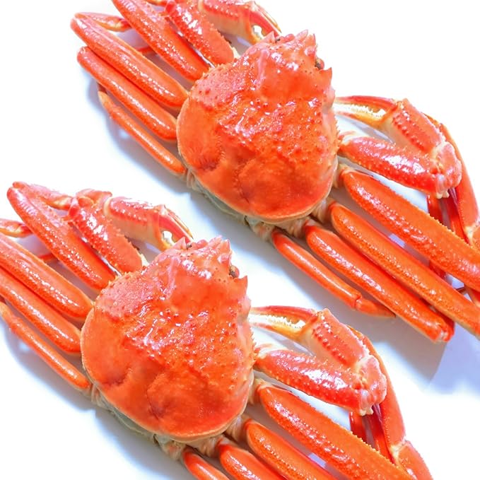 Amazon 黒帯 ズワイガニ 姿 特大 ボイル ずわいがに姿 天然 本ずわい蟹 良品選別加工済 ブランド保証付 1 4kgup 700g 2尾入 かに ギフト 黒帯 魚介類 水産加工品ギフト 通販