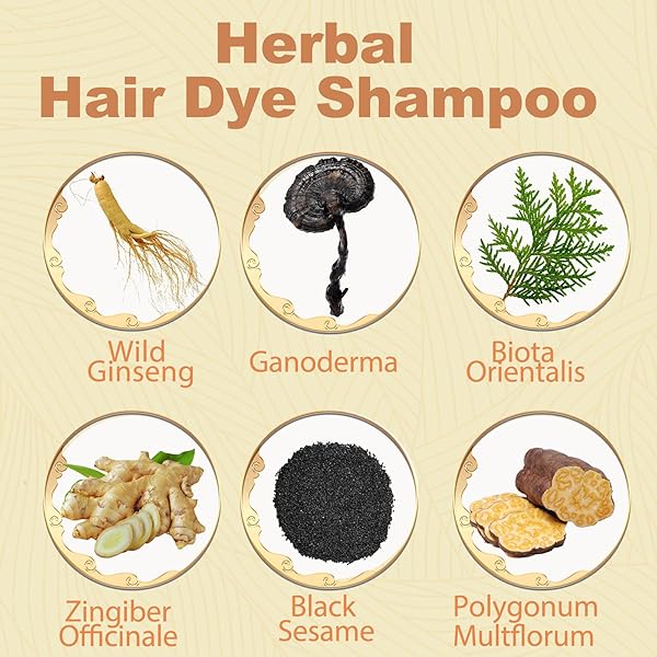 INSTANT CHERRY BROWN HAIR DYE SHAMPOO 3 IN 1-500 ML HERBAL BROWN HAIR COLOR SHAMPOO HAIR DYE FOR WOMEN & MEN, LONG LASTING BROWN HAIR SHAMPOO – SAFE & EASY TO USE (CHERRY BROWN)