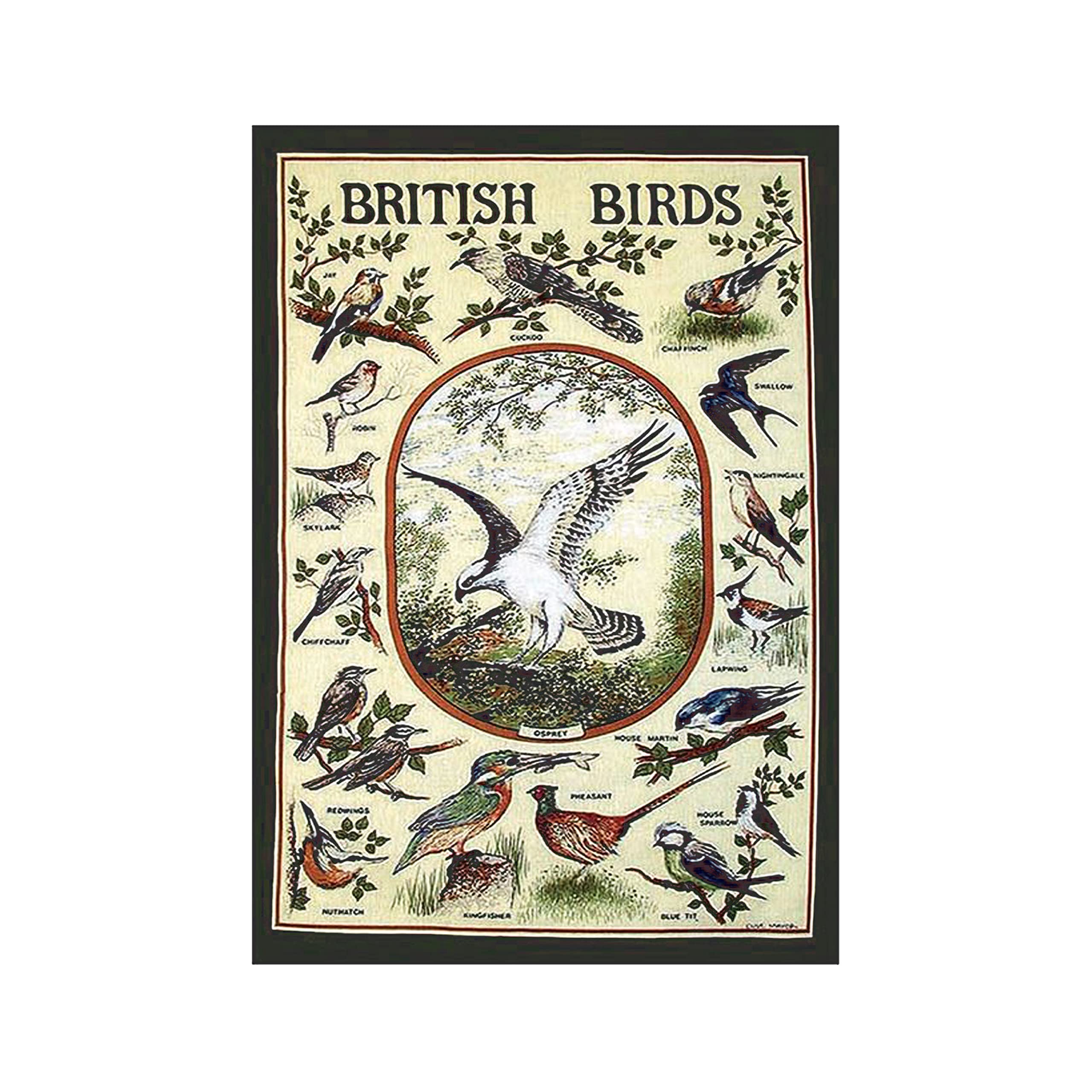 Auntie Morags Eddingtons British Birds Tea Towel