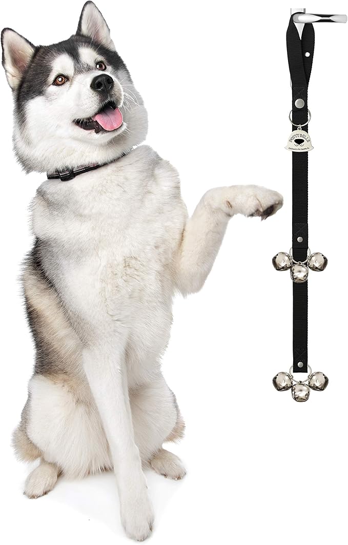 english springer spaniel puppy training