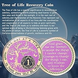 One Year Sobriety Coin AA Chips and Medallions