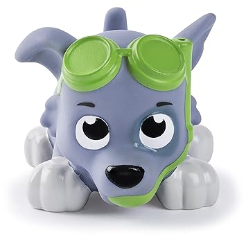 paw patrol rocky water