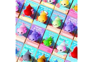 DKJOAZ 24 Packs Valentines Day Gifts for Kids,Valentines Day Cards with Axolotl Mochi Squishy,Valentine's Bulk Stress Relief Fidget Toy,Valentine School Classroom Exchange Cards Party Favors