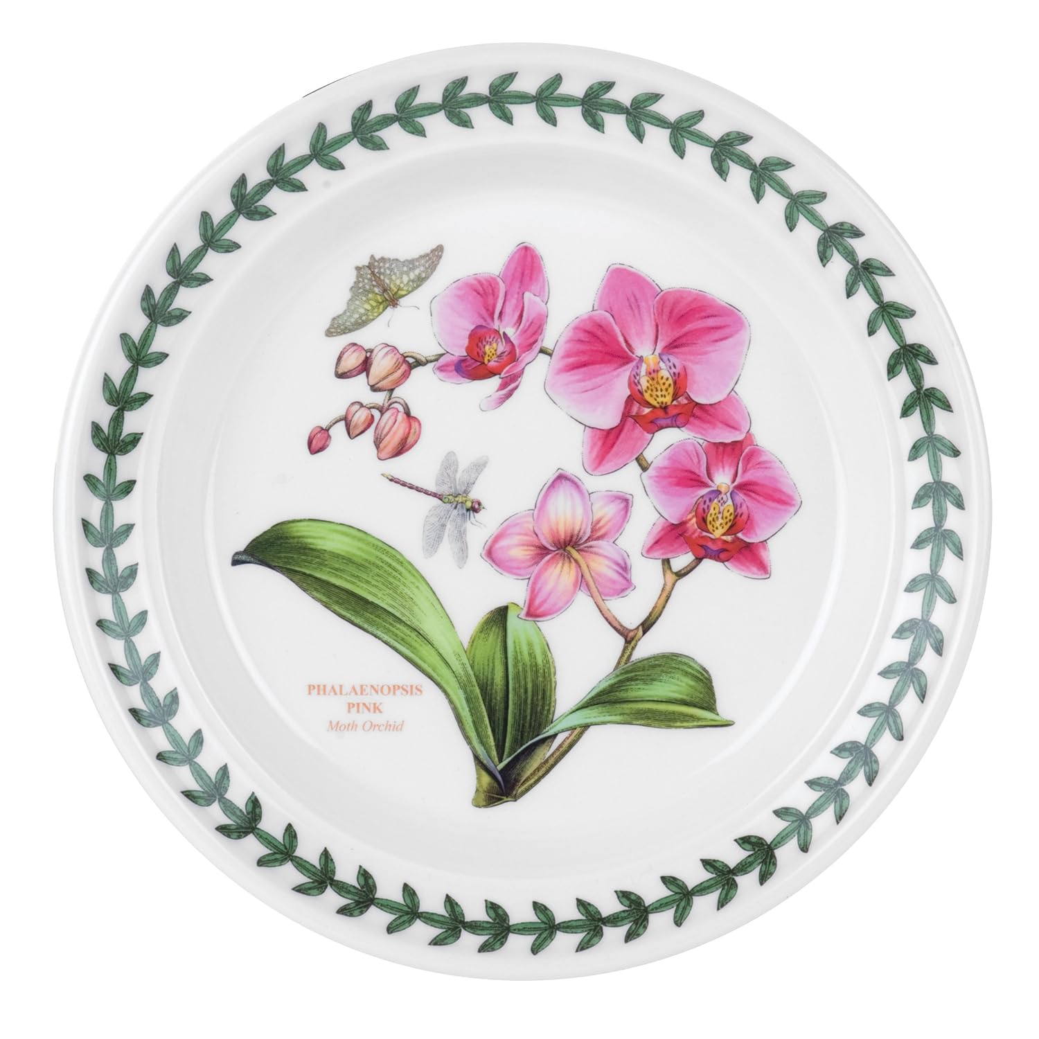 Home Set of 6 Portmeirion Botanic Garden Bread and Butter Plate Kitchen