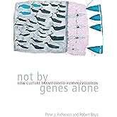 Not by Genes Alone: How Culture Transformed Human Evolution