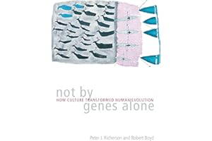 Not by Genes Alone: How Culture Transformed Human Evolution