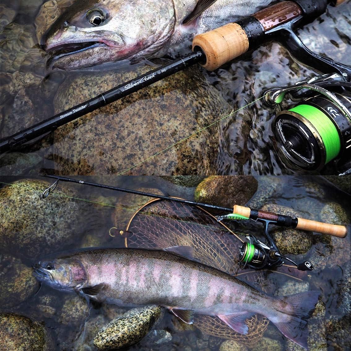 daiwa ballistic fw lt