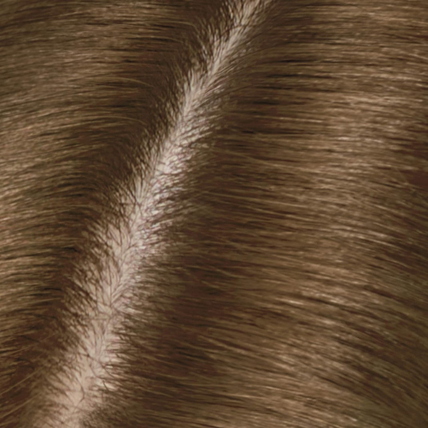 Clairol Root Touch-Up Permanent Hair Color Creme, 5 Medium Brown, 2 Count: Beauty