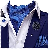 Hi-Tie Ascot Lapel Pin Set Mens Cravat Ties for men