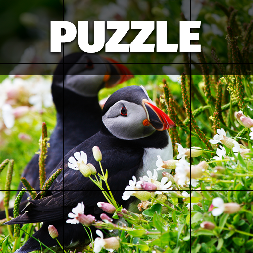 Epic Jigsaw Puzzles GameAmazon.inAppstore for Android