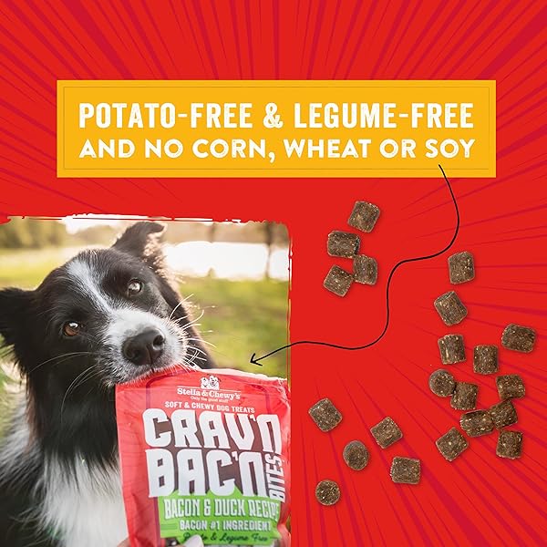 STELLA & CHEWY’S TRAINING DOG TREATS – CRAV’N BAC’N SOFT BACON & CHICKEN BITES – PREMIUM USA MADE – LOW CALORIE REWARDS – 8.25OZ