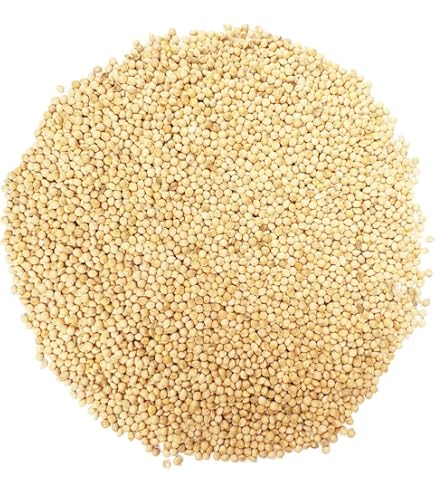 ☆millet☆ Anand Foxtail Millet 2lb - Keemat Grocers