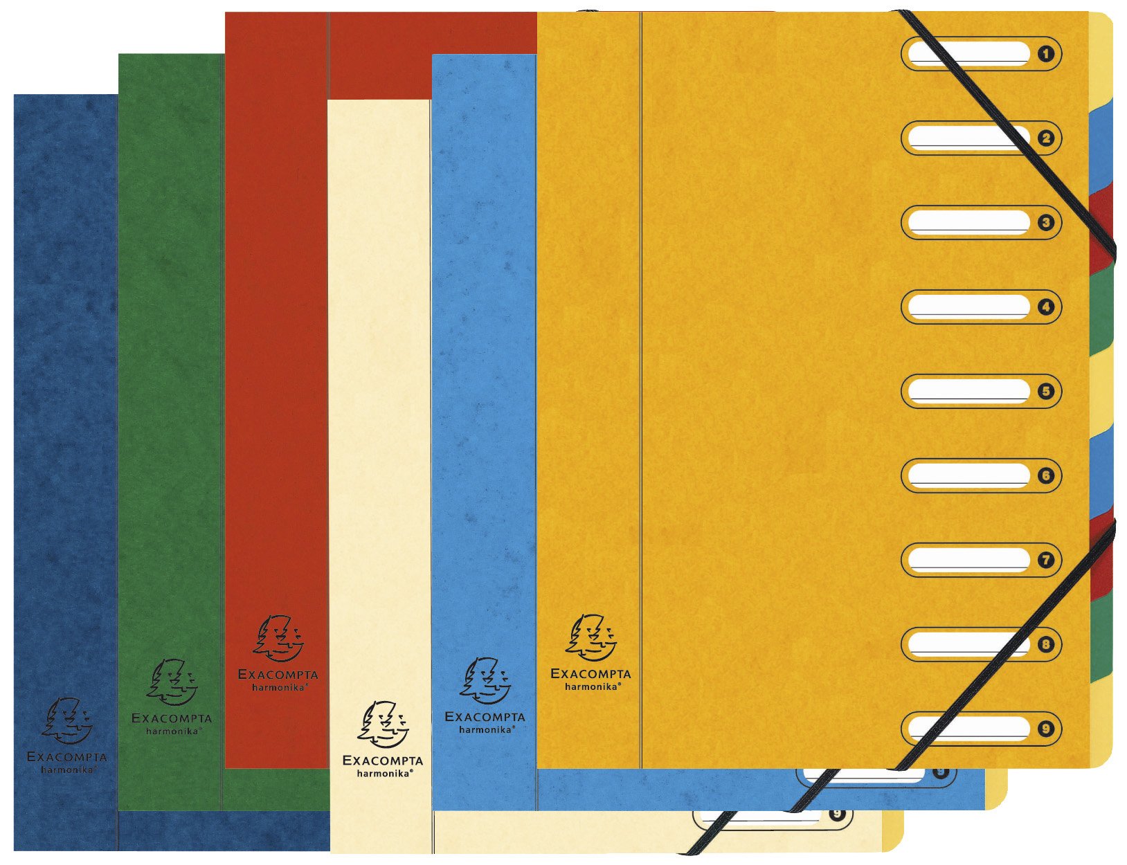 Exacompta 5309E Window Extendable Back in Glossy Card 9 Compartments Colour Sorter)